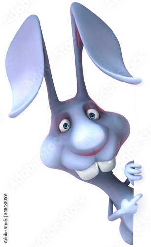 Illustration: Fun rabbit Fun rabbit