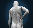 Skeleton having pain on his back