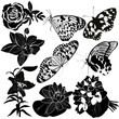 Vektor: collection butterfly flower collection butterfly flower