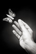 Foto: Let your imagination fly - creativity concept Let your imagination fly - creativity concept