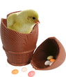 poussin et chocolats
