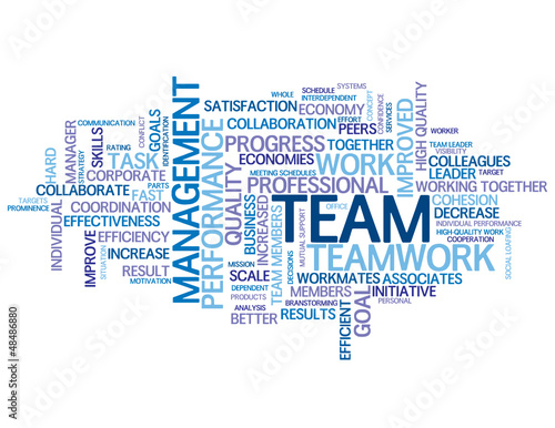 Vector: "TEAM" Tag Cloud (teamwork management goals targets performance) "TEAM" Tag Cloud (teamwork management goals targets performance)