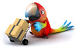 Fun parrot