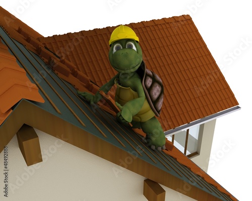 Illustration: tortoise roofing contractor tortoise roofing contractor