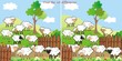 sheep-find 10 differences