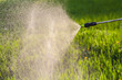 watering the lawn with a sprayer