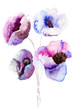 Beautiful Blue flowers