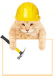 Cat with hammer and banner.