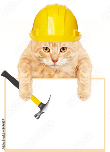 Photo: Cat with hammer and banner. Cat with hammer and banner.