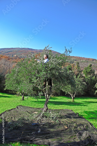 Photo: farmer on duty farmer on duty