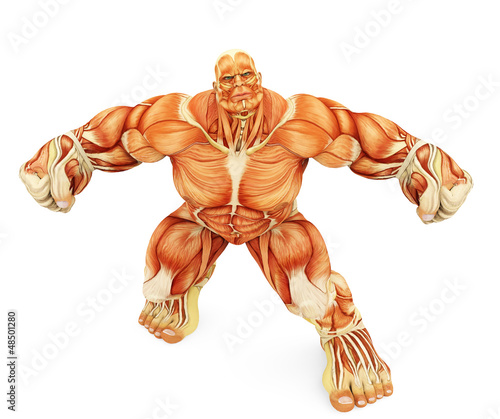 Illustration: male super muscle up view male super muscle up view