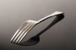 Reflected Fork