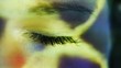 Video: woman's eye in the light woman's eye in the light