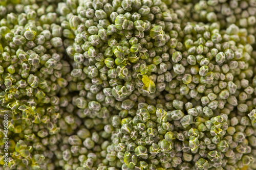 Photo: Broccoli Broccoli