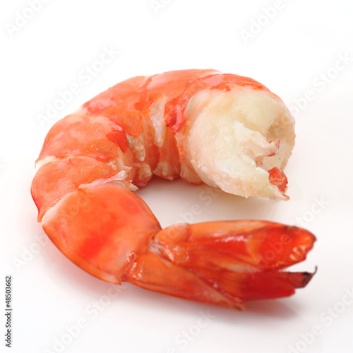 Photo: shrimp shrimp