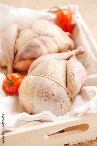 Photo: two pheasants bird, plucked and stuffed in wooden box two pheasants bird, plucked and stuffed in wooden box