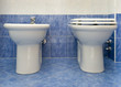 the water-closet and bidet