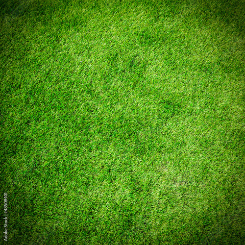 Photo: green grass texture for background green grass texture for background