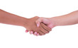 shaking hand of black and white isolated