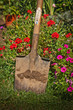 Garden shovel with flowers