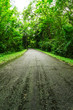 countryside road