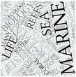 Marine biology Disciplines Concept