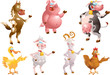 Farm animals