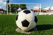 soccer ball on green grass in front of goal net