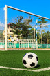 soccer ball on green grass in front of goal net