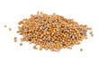 mustard seeds