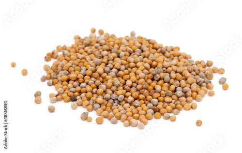 Photo: mustard seeds mustard seeds