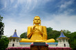 Statue Of Buddhahood