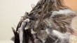 Hair and shampoo
