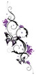Ranke, flora, Blumen, Blüten, Schmetterling, lila, violett
