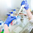 Female researcher doing research in a lab