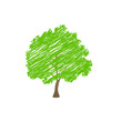 canvas print picture - baum