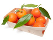 Mandarinen