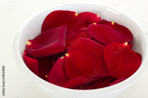 Photo: Rose petals in a bowl Rose petals in a bowl