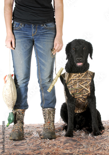 Photo: hunting dog hunting dog