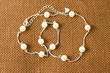 jewelry on the white background