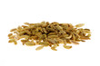 Detailaufnahme Fenchel freigestellt