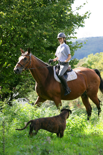 Photo: L-Cheval L-Cheval