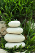 Pebbles and leaves