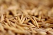 barley macro