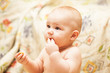 little child eating biscuit
