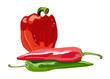 vector isolated red and green peppers