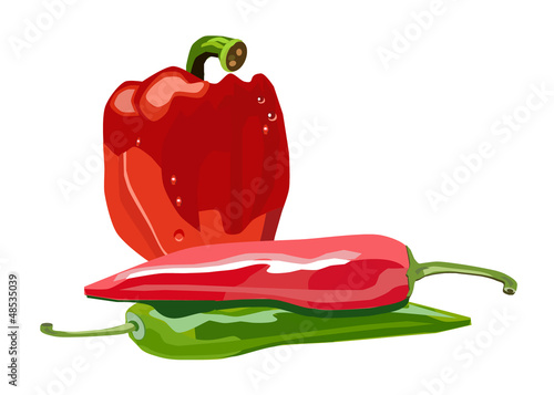 Vector: vector isolated red and green peppers vector isolated red and green peppers