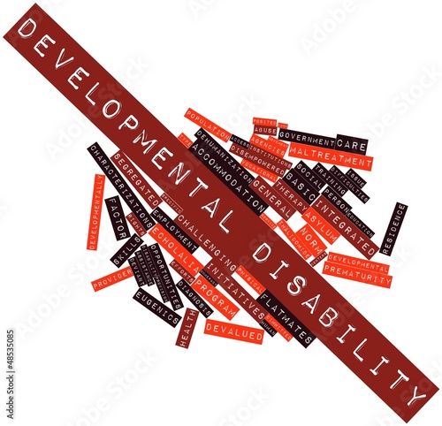 Illustration: Word cloud for Developmental disability Word cloud for Developmental disability