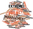 Word cloud for Extreme project management