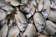 Photo: fischmarkt fischmarkt